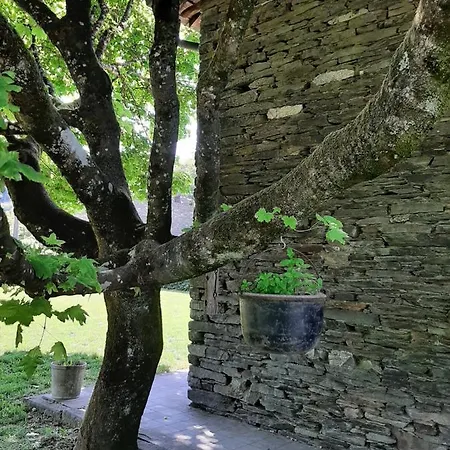 La Maison Des Marguerites Vresse-sur-Semois