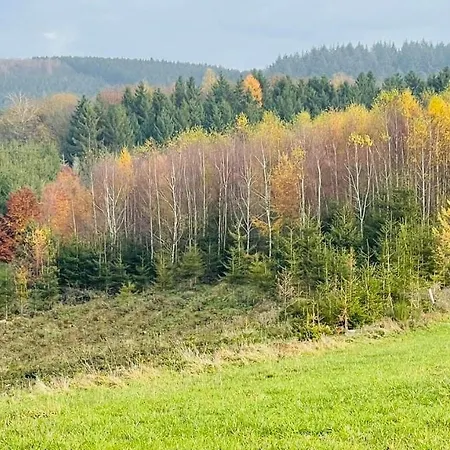 La Maison Des Marguerites Vresse-sur-Semois