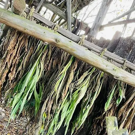 La Maison Des Marguerites * Vresse-sur-Semois