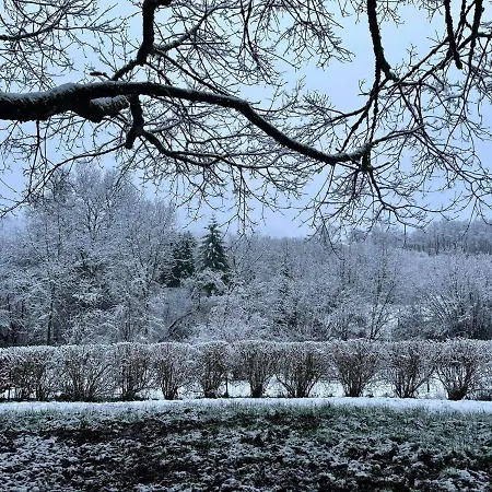 La Maison Des Marguerites Vresse-sur-Semois