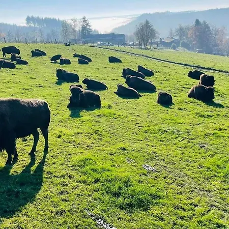 La Maison Des Marguerites Hébergement de vacances *