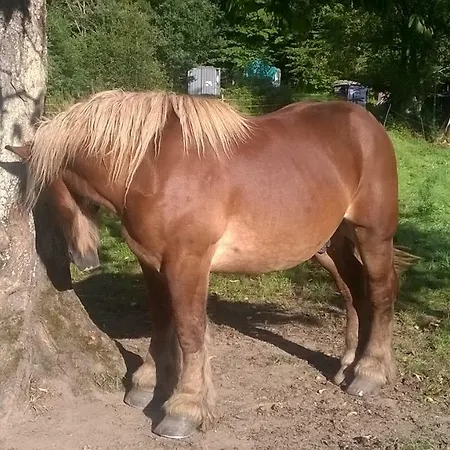 La Maison Des Marguerites