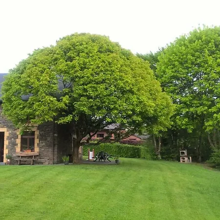 La Maison Des Marguerites Hébergement de vacances Vresse-sur-Semois
