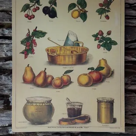 La Maison Des Marguerites * Vresse-sur-Semois