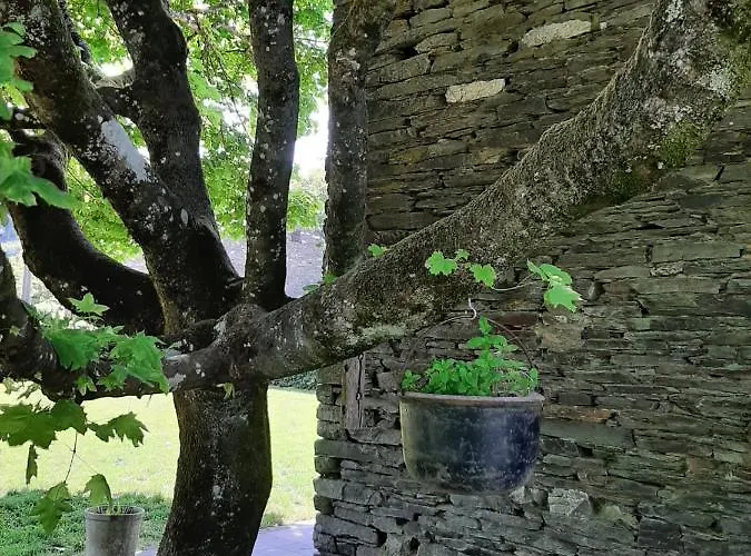 La Maison Des Marguerites ורס סור-סמואה