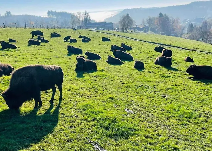 La Maison Des Marguerites בית נופש *