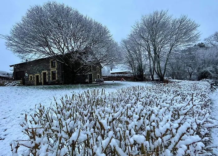 La Maison Des Marguerites *