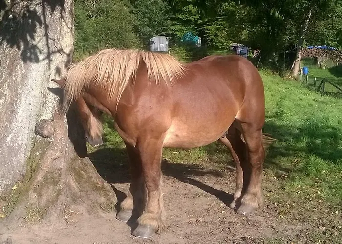 La Maison Des Marguerites