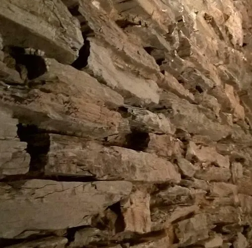 La Maison Des Marguerites Σπίτι διακοπών